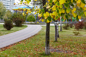 Pathway surrounded by trees in Kyiv, Europe. Recreation place in the city park at Autumn.
