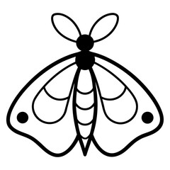 Outline drawing of a moth with spots on transparent background