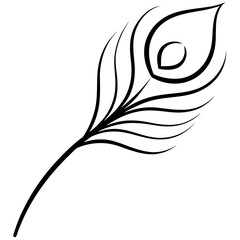 Illustration of a peacock feather art on transparent background