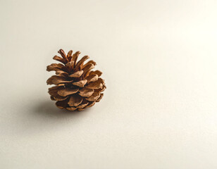 Minimalist flat lay winter background with a single pine cone on neutral copy space. Perfect for seasonal branding, mockups, invitations, or text overlay.