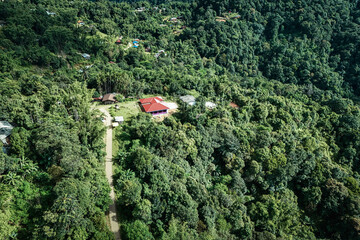 The beautiful landscape of green rice terraces in Bali, Indonesia, and rice fields in Thailand showcases stunning Asian nature and agriculture