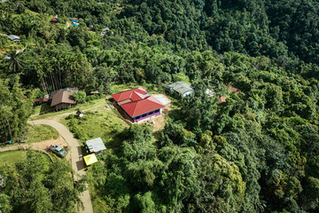 The beautiful landscape of green rice terraces in Bali, Indonesia, and rice fields in Thailand showcases stunning Asian nature and agriculture