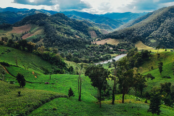 The beautiful landscape of green rice terraces in Bali, Indonesia, and rice fields in Thailand showcases stunning Asian nature and agriculture