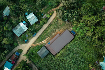 The beautiful landscape of green rice terraces in Bali, Indonesia, and rice fields in Thailand showcases stunning Asian nature and agriculture