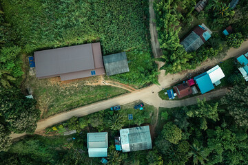 The beautiful landscape of green rice terraces in Bali, Indonesia, and rice fields in Thailand showcases stunning Asian nature and agriculture
