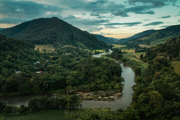 The beautiful landscape of green rice terraces in Bali, Indonesia, and rice fields in Thailand showcases stunning Asian nature and agriculture