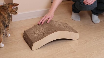 Woman uses hand gestures to call domestic cat toward scratching post while teaching proper furniture use for claw maintenance and behavior training