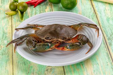 Raw wild crab for cooking