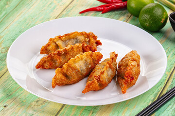 Asian fried stuffed dumplings gyoza