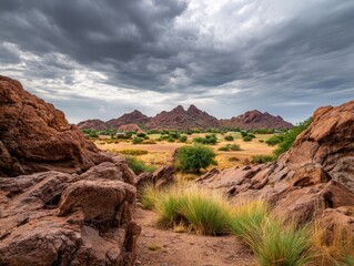Stunning Desert Landscape at Papago Park: Rocky Formations and Lush Grass Under a Dramatic Cloudy Sky in Arizona