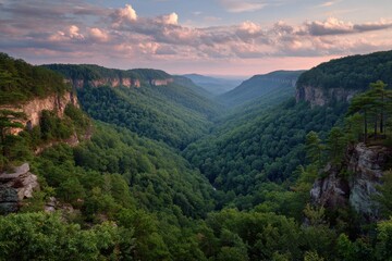 Sunset Serenity at Cloudland Canyon State Park: A Wild Escape into Georgia's Natural Wilderness