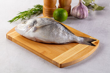 Raw fresh uncooked dorada fish
