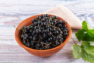Ripe fresh black currants branches