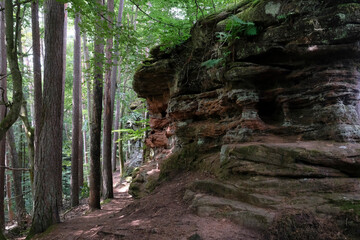 Sandstone rock formation in the Palatine Forest in Germany