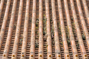 Rooftop tiles of Summer Palace, complex of imperial Chinese gardens and palaces in Beijing, China