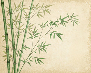 Fototapeta premium A traditional chinese background with green bamboo on a vintage paper texture. This asian vector illustration is a zen, natural, and beautiful art design.