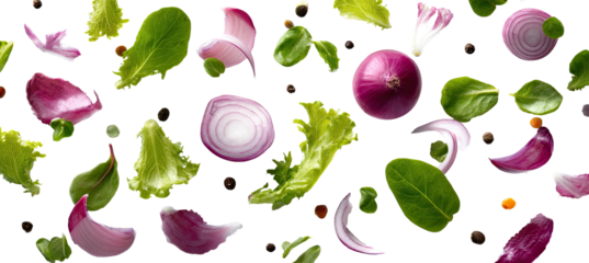 Salad ingredients and red onion slices scattered on black background