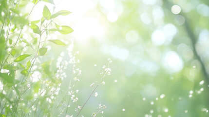 やわらかな光に包まれた新緑と小花の背景
