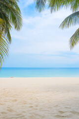 Fototapeta premium palm tree on the beach
