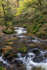 Obraz premium Grobbachtal bei Geroldsau (Baden-Baden) im Herbst