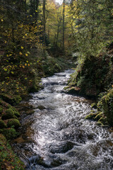 Obraz premium Grobbachtal bei Geroldsau (Baden-Baden) im Herbst