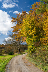 Weg am herbstlichen Waldrand