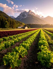 Sunny landscape of rows of leafy crops, mountains in the distance