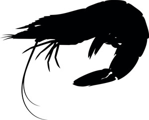 Silhouette of a black shrimp with long antennae on a vector