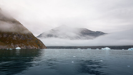 Narsarsuaq, South Greenland Ice Floe, Icebergs filling the Fjords onto the approach of this small settlement, August 2025. 