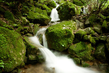 flow of the moss valley