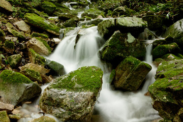 flow of the moss valley