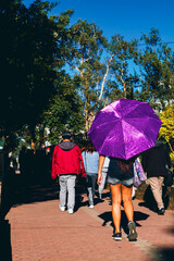 バギオのバーンハムパーク