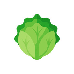 Green cabbage flat design icon vector illustration. simple graphic element representing healthy food, vegetarian diet, and organic produce isolated on white.