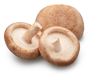 Raw shiitake mushrooms on white background. File contains clipping paths.