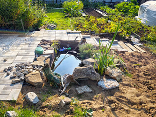 Garden pond creation with stones, plants, and a serene water surface in a sunny backyard setting
