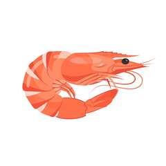 Fresh Shrimp Seafood