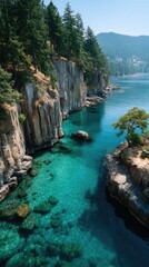 Turquoise Water Meets Rugged Cliffs Lined With Lush Green Pine Trees Under a Bright Sunny Sky