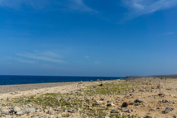 Aruba Arid Landscape with Rocky Desert Terrain and Sparse Vegetation under Bright Caribbean Sun