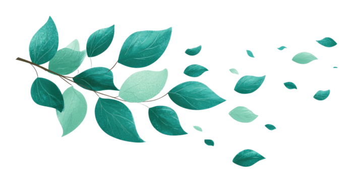 A branch with teal leaves scattering in the wind