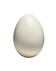 Close up of a light, oval-shaped egg against a black background