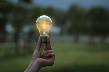 A hand holding a glowing light bulb against a dark background, symbolizing creativity, innovation, and new ideas.