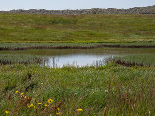 fields and lake in Iceland