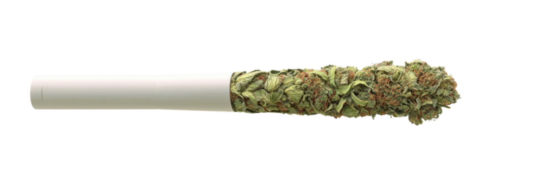 A cannabis joint with a white filter on a black background