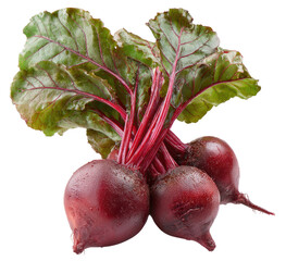 Freshly harvested root vegetables with vibrant green leaves