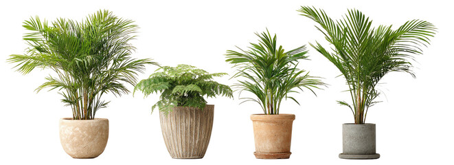 Four potted indoor plants with lush green foliage