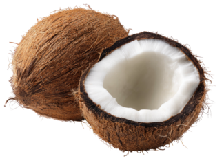 Whole coconut with a halved coconut revealing white flesh