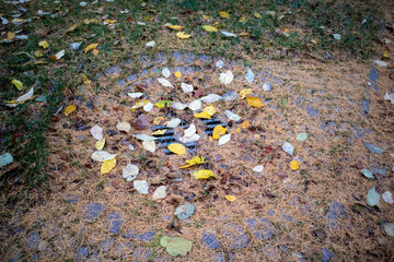 Obraz premium a city park gutter filled with leaves and needles in autumn