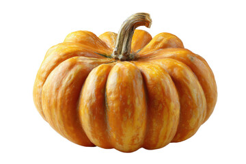 A whole, bumpy, bright orange squash with a textured stem