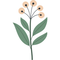 A Simple Botanical Illustration of a Tall Stem With Green Leaves and Five Light Orange Circular Flowers On A White Transparent Background