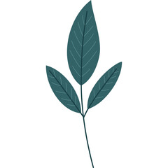 A Simple Dark Teal Leaf Branch With A Thin Stem Against A White Transparent Background Perfect For Natural And Organic Designs